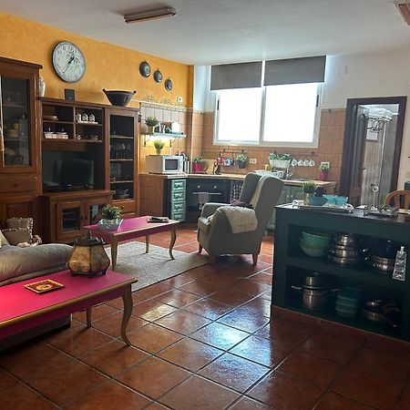 Tegueste Loft Rural 아파트 외부 사진